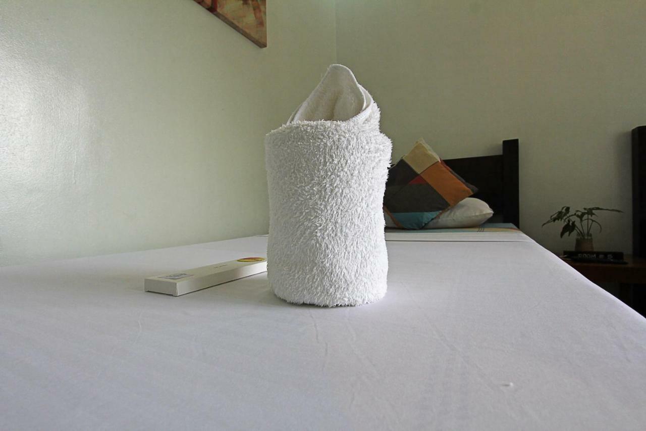 Inn Seaslugs Travellers *