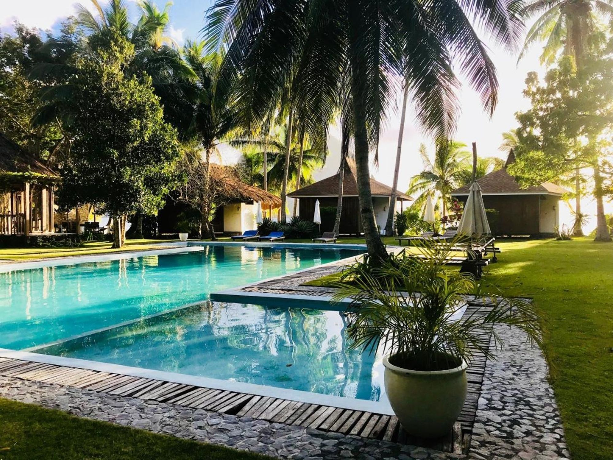 Dolarog El Nido