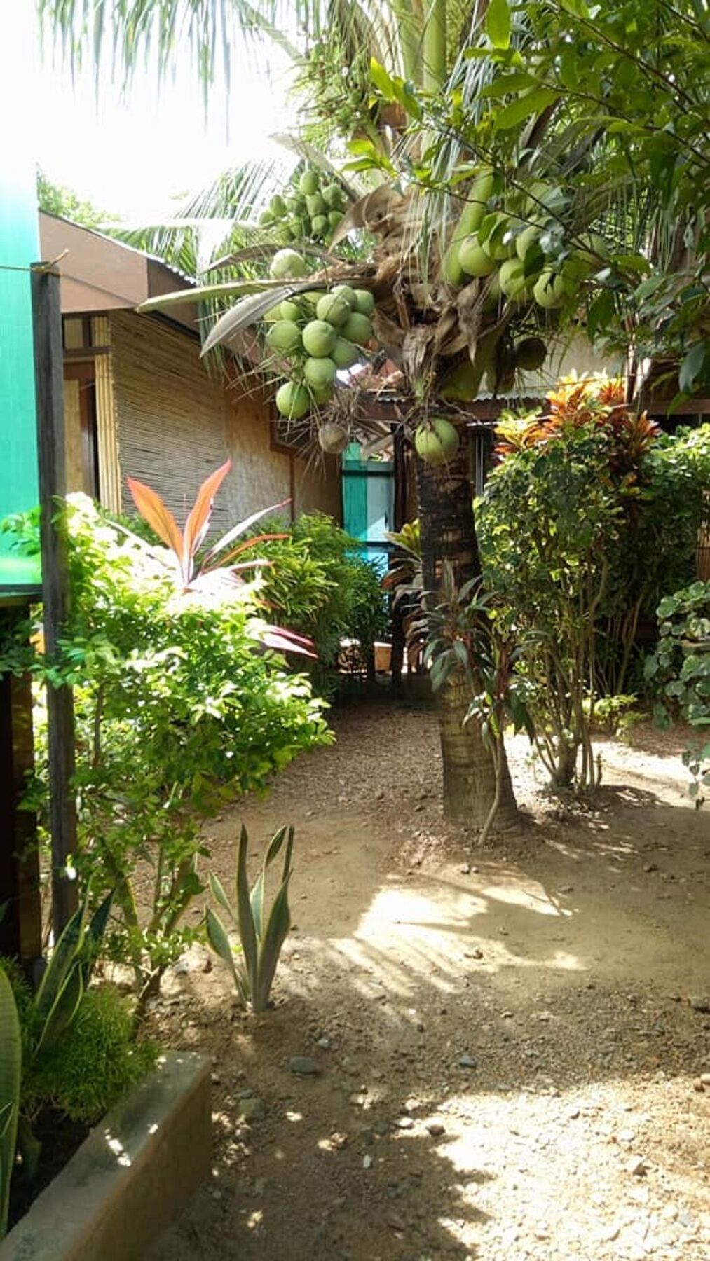 Devayn's Inn El Nido