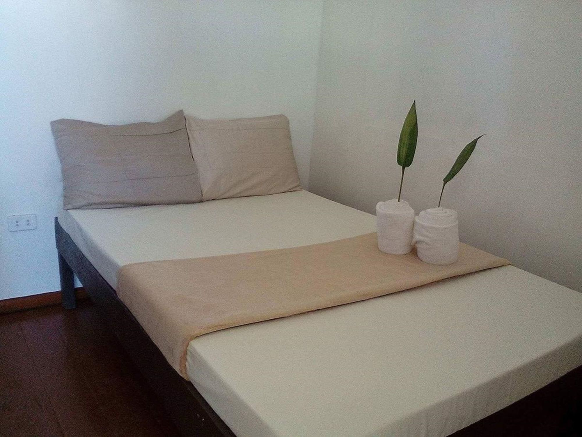 Dreamland Front Hotel 2*