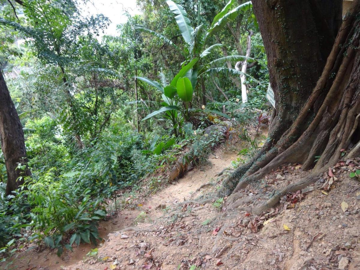 Camp Talusi Hilltop Overlooking Campeggio El Nido
