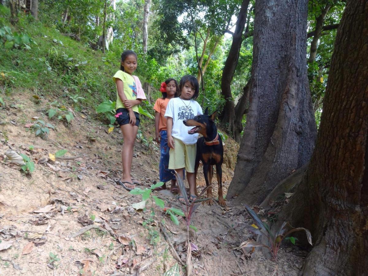 Camp Talusi Hilltop Overlooking *